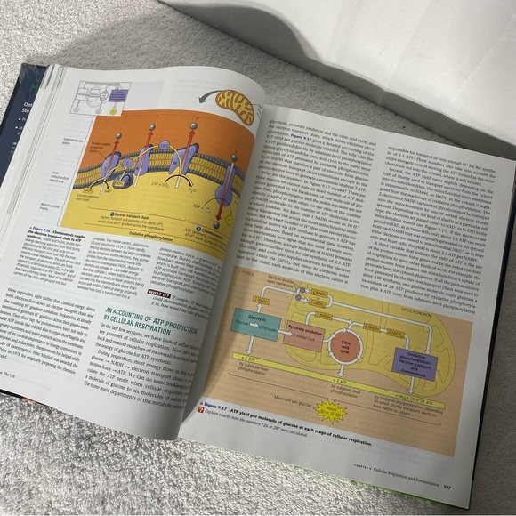 Vintage Campbell Biology Hard Cover Textbook Canadian Edition - Picture 11 of 13